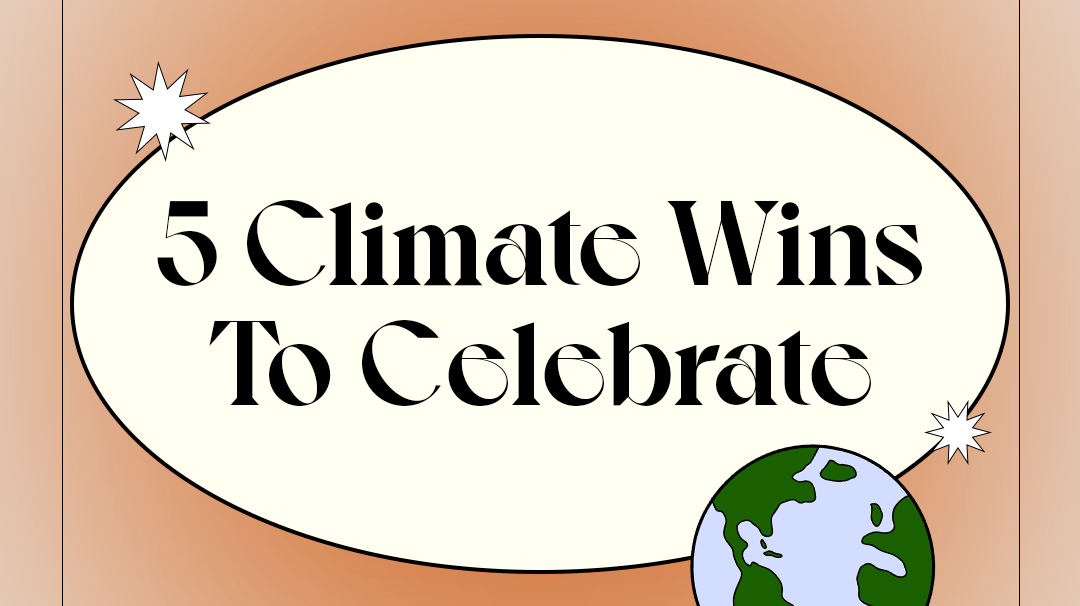 5 Climate Wins To Celebrate