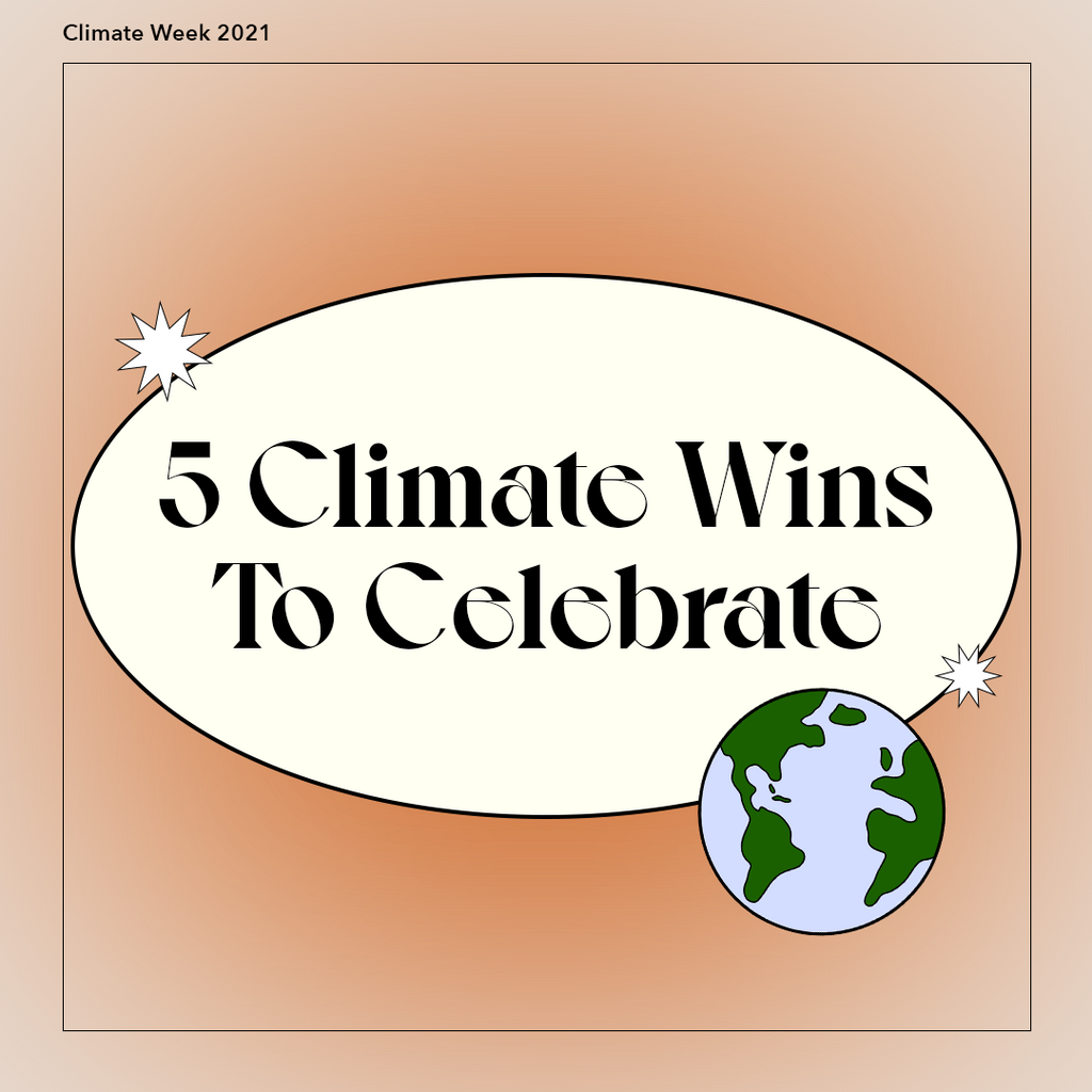 5 Climate Wins To Celebrate