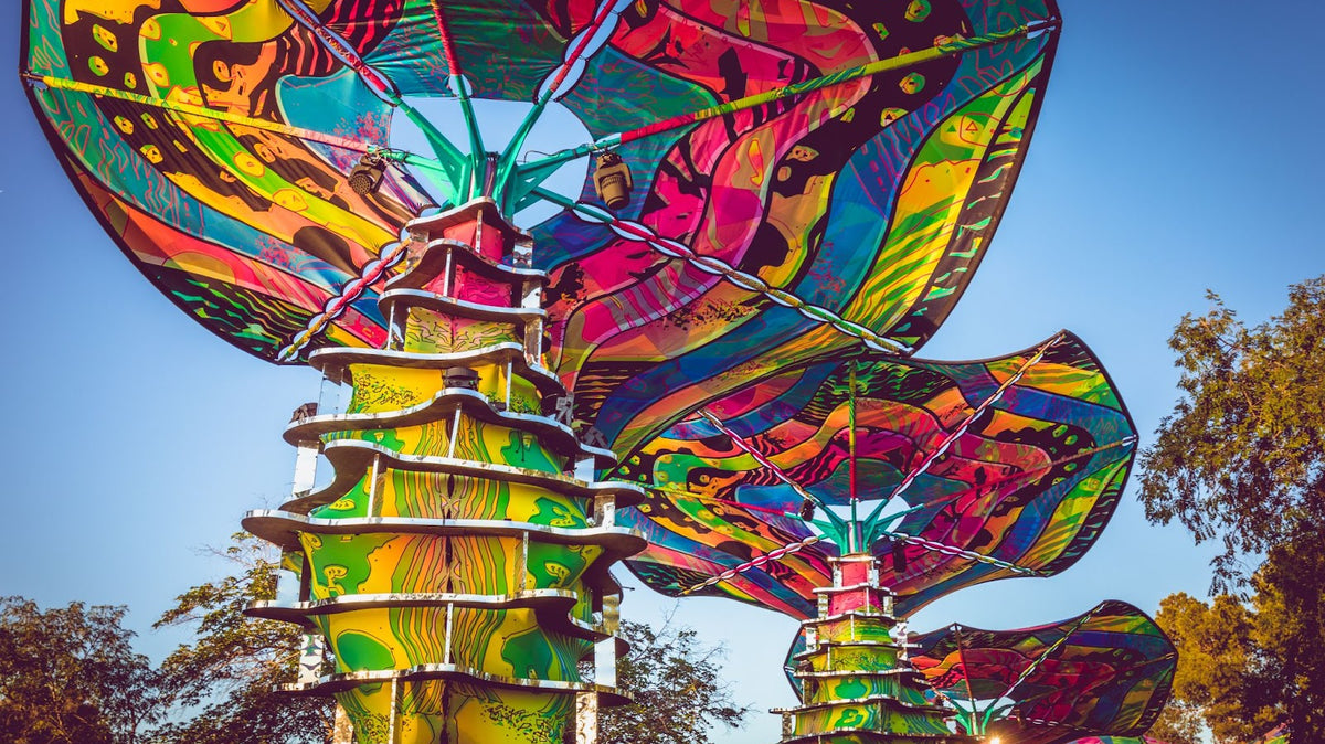 4 Reasons Why We're Excited for LIB