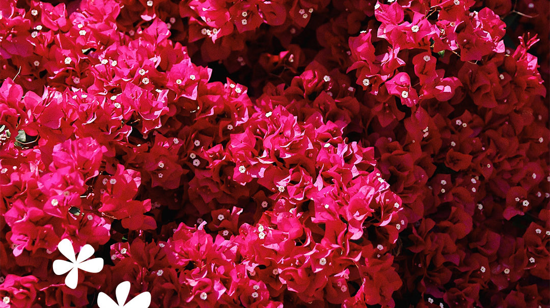 Wolven sustainable ethical loungewear activewear swimwear yoga