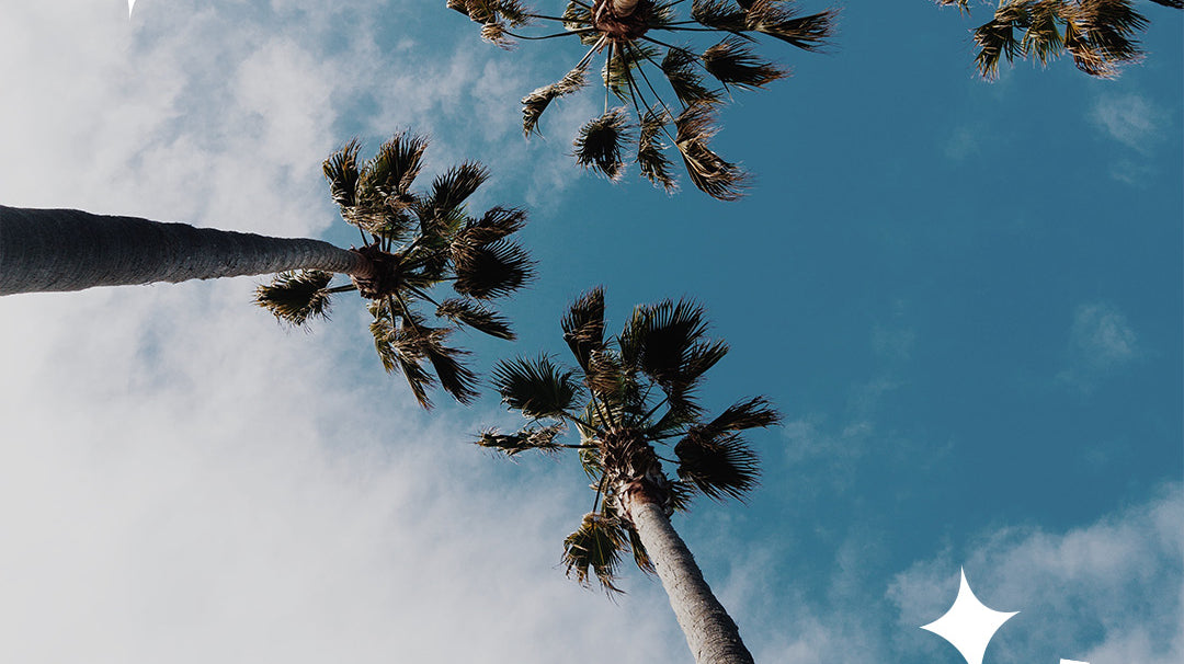 Wolven sustainable activewear world oceans month day eco friendly yoga pants