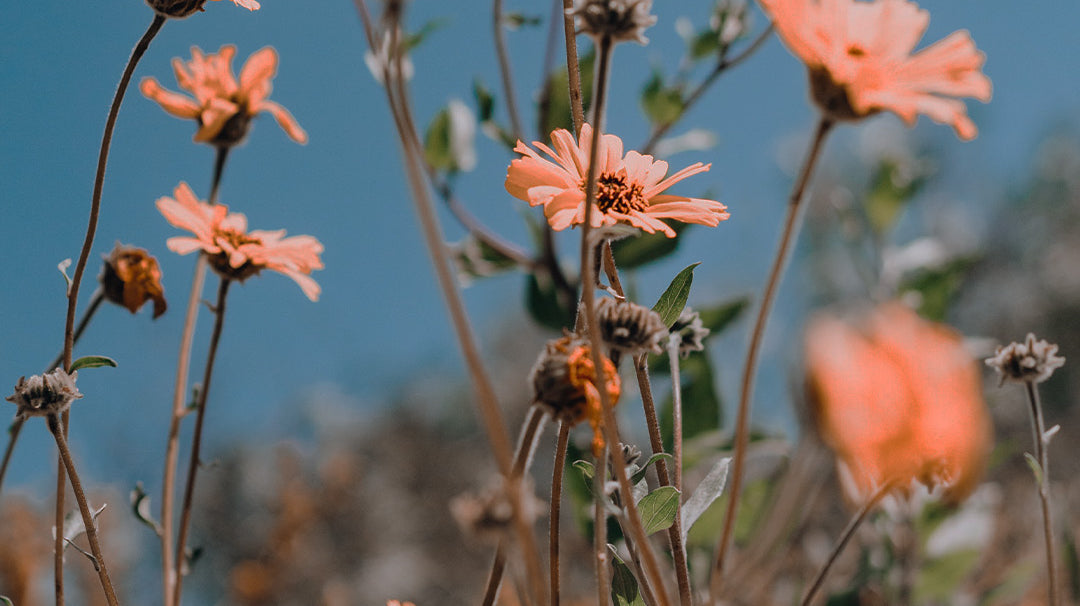 20 Ways To Make Sustainability Sexy