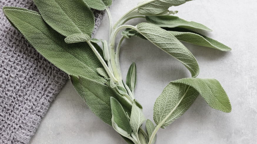 DIY Sage Bundles