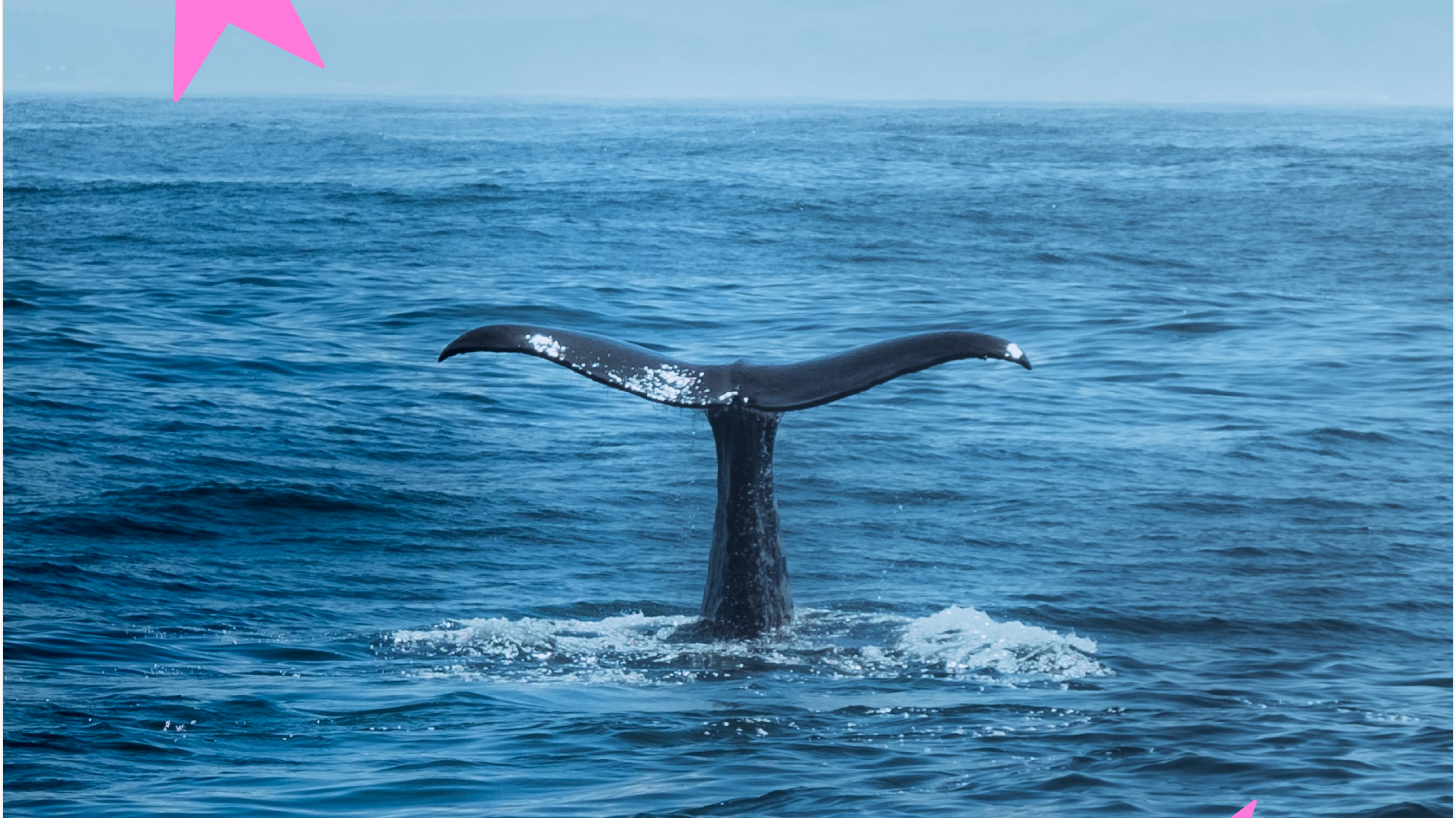 Make Waves Of Change With Us