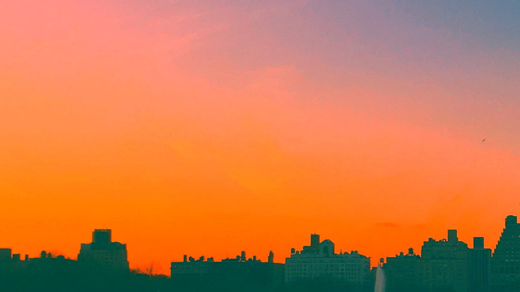 The Dream Journey: A Full Moon in Sagittarius