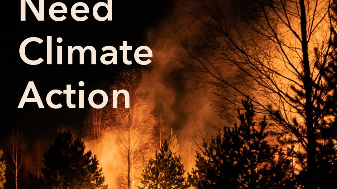 International Day for Disaster Risk Reduction