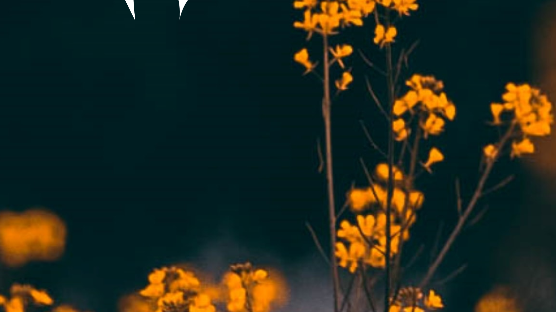 10 Black Female Environmentalists You Should Know