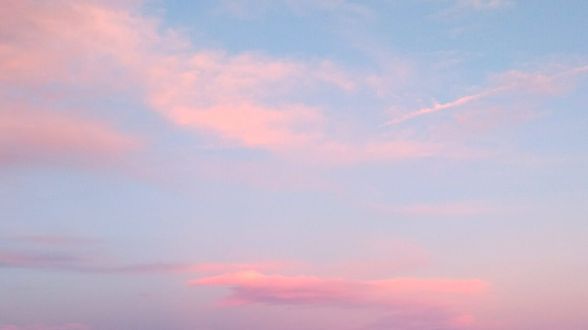 How To Love The Planet This VDay
