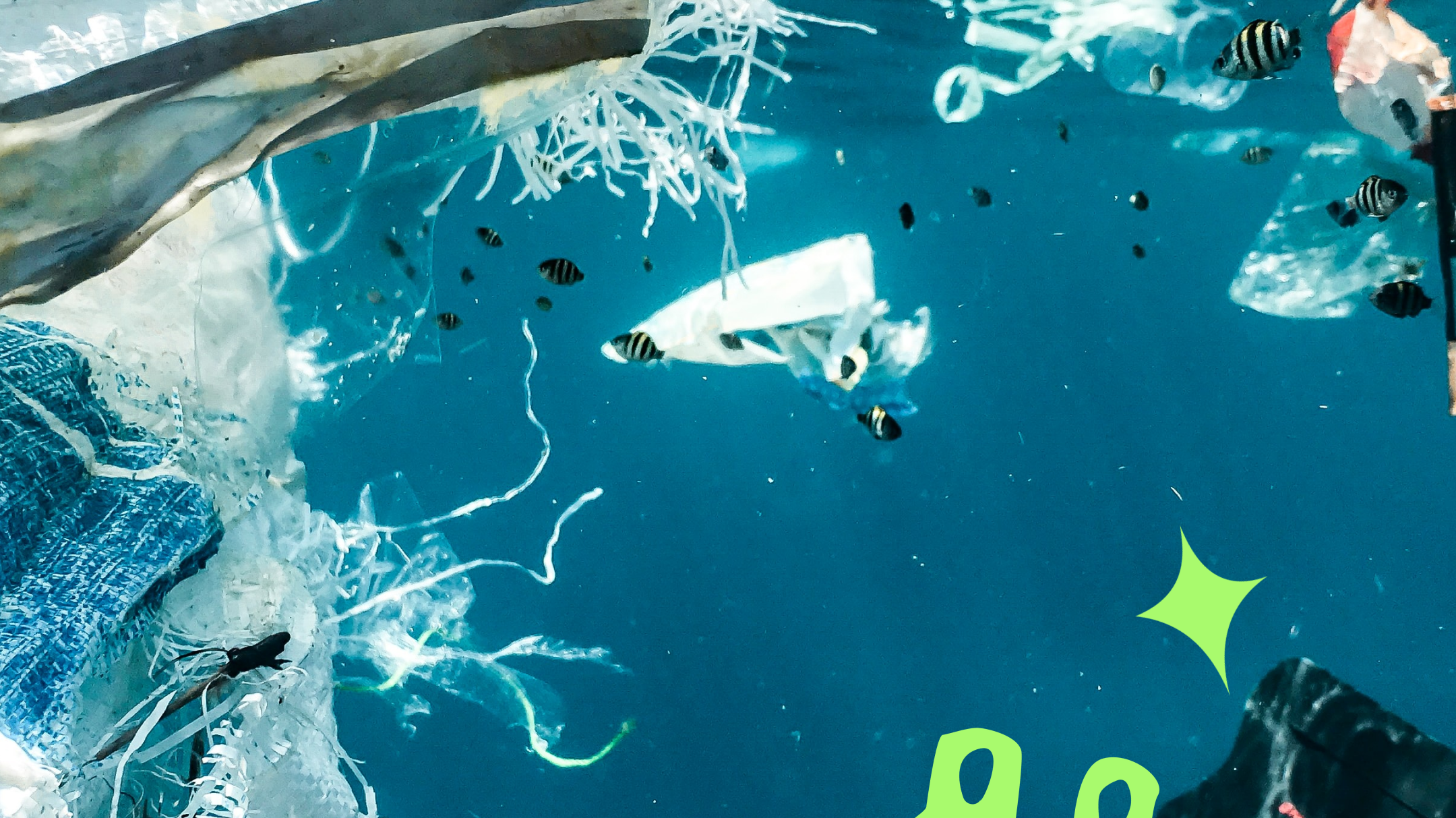 5 Myths About Recycling Plastics