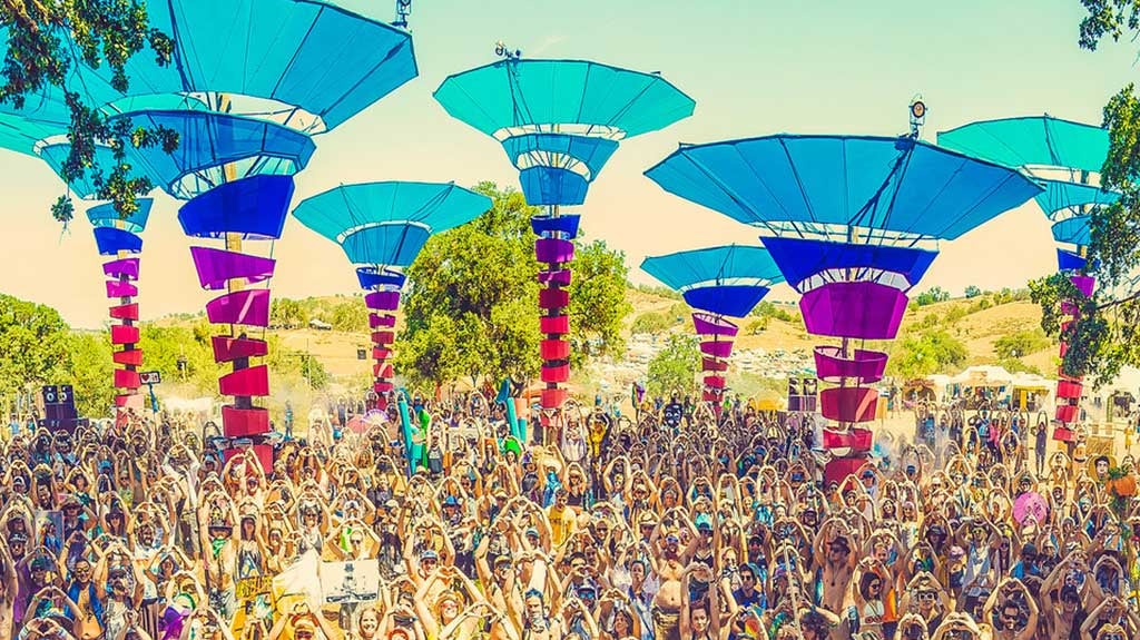 5 Ways LiB Leads the Way for Sustainability