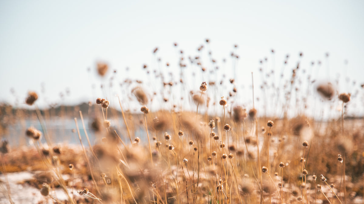 5 Habits To Bring Into The New Year