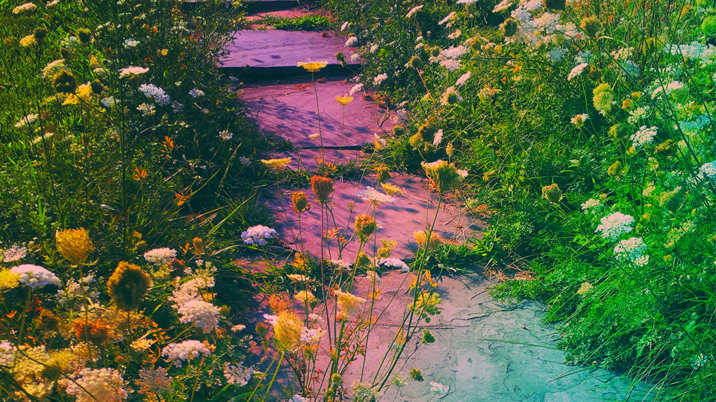 A Collective and Creative Lunar Eclipse in Leo