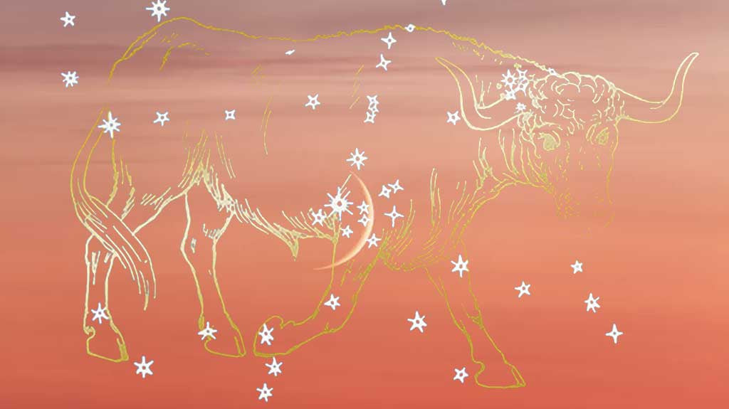 A New 7 Year Story : The New Moon in Taurus