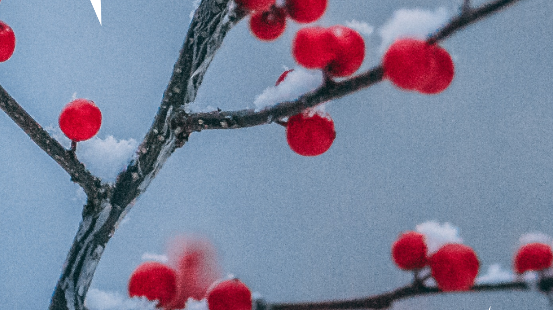 Unpacking Secondhand Gifting