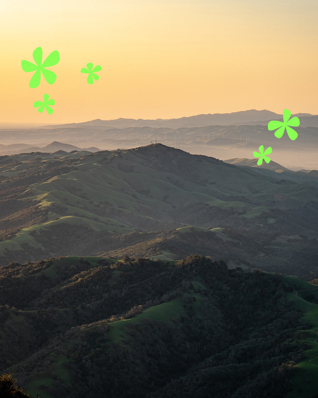 14 Ways To Love The Planet