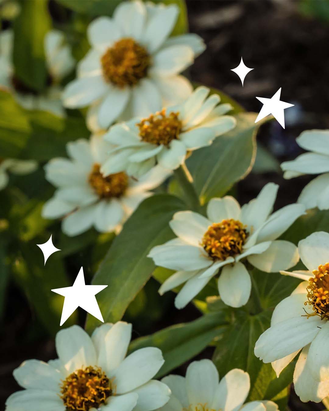 Brunette model wearing Wolven set in Fractal print