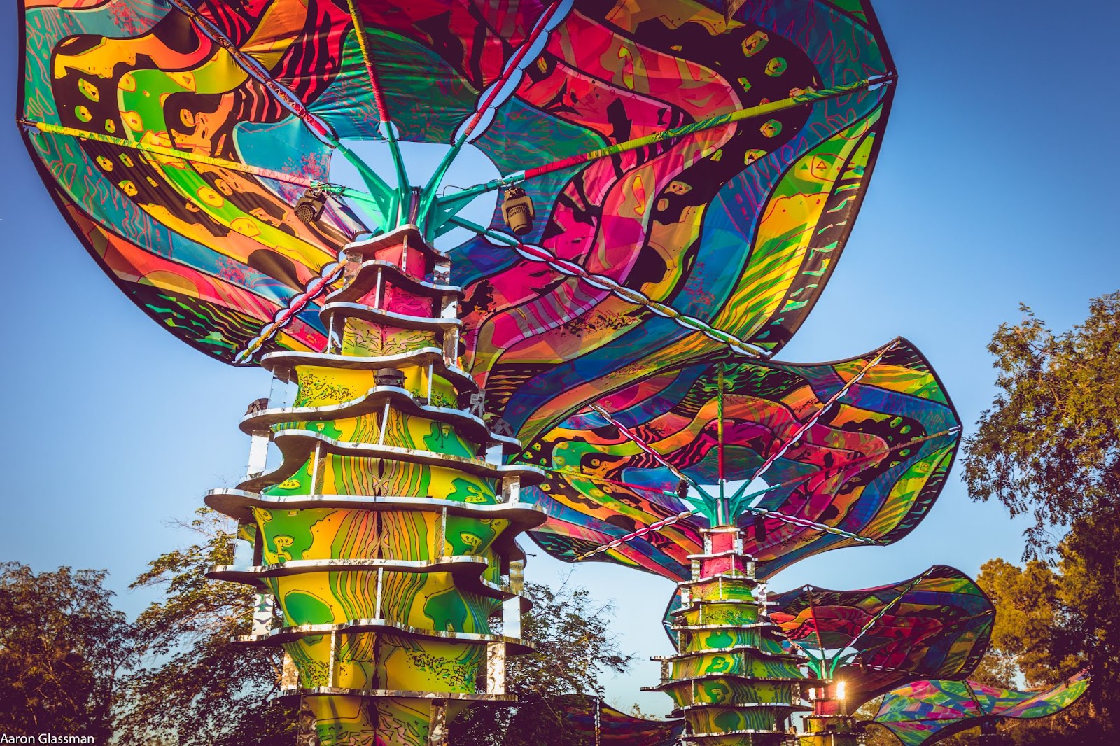 4 Reasons Why We're Excited for LIB