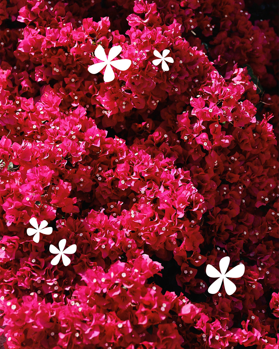 Wolven sustainable ethical loungewear activewear swimwear yoga 