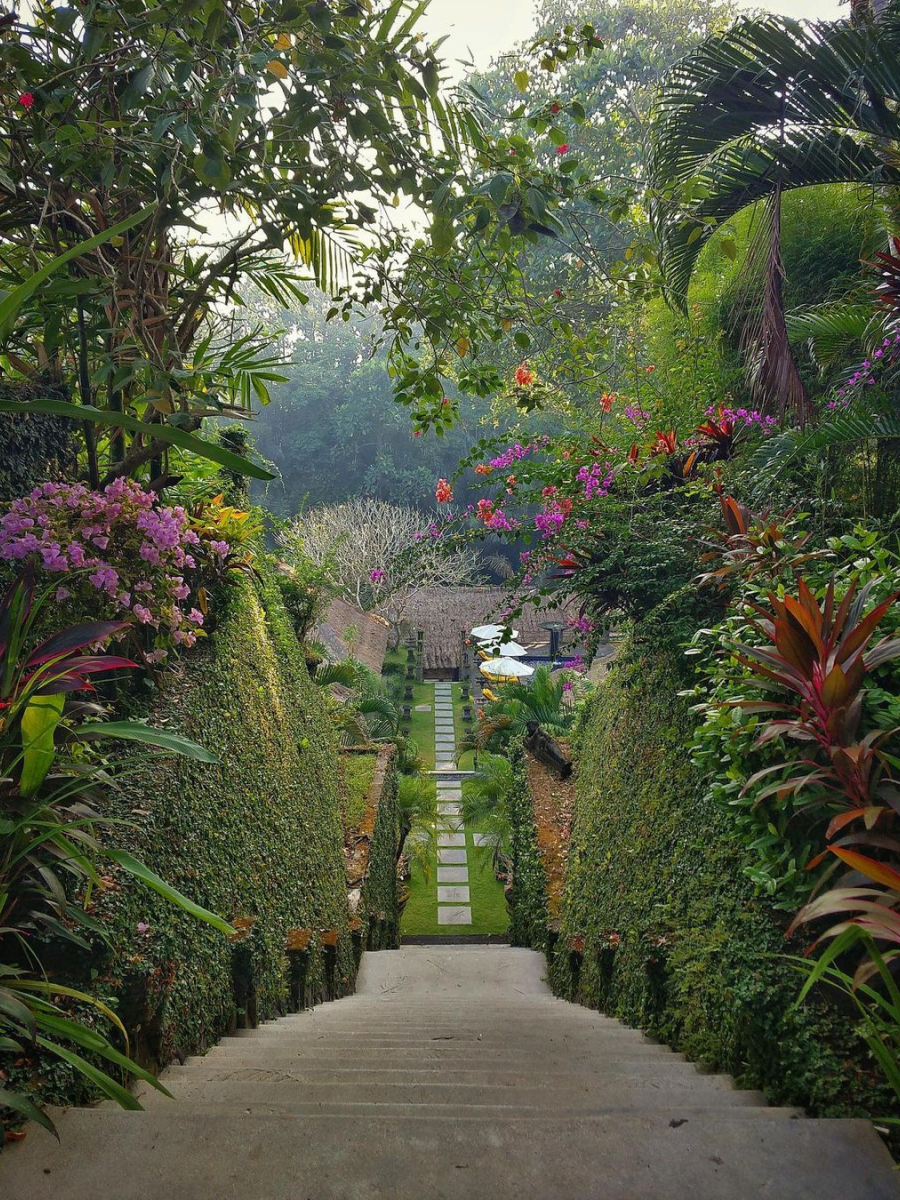 5 Steps of Panchakarma at Sukhavati Bali