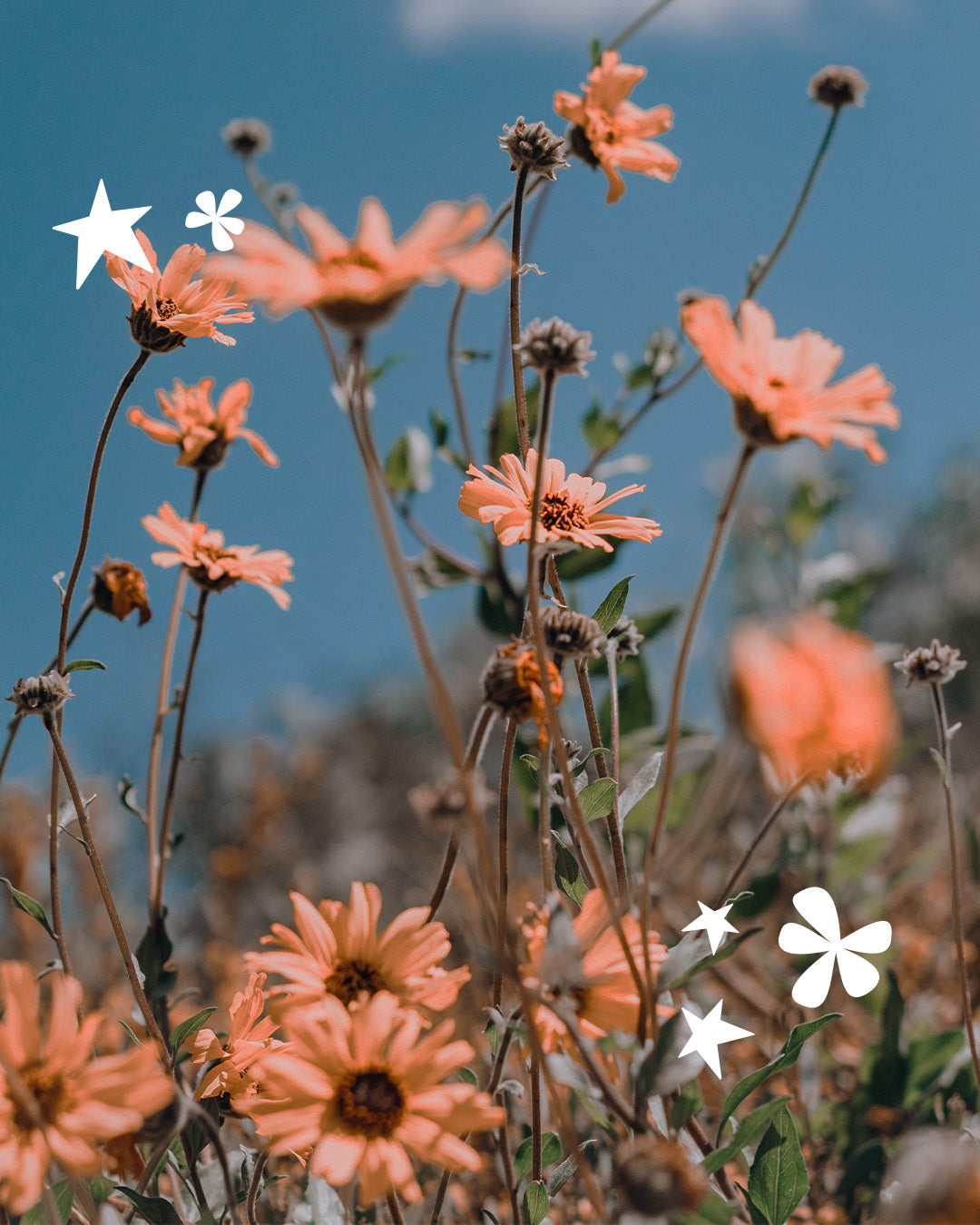 20 Ways To Make Sustainability Sexy