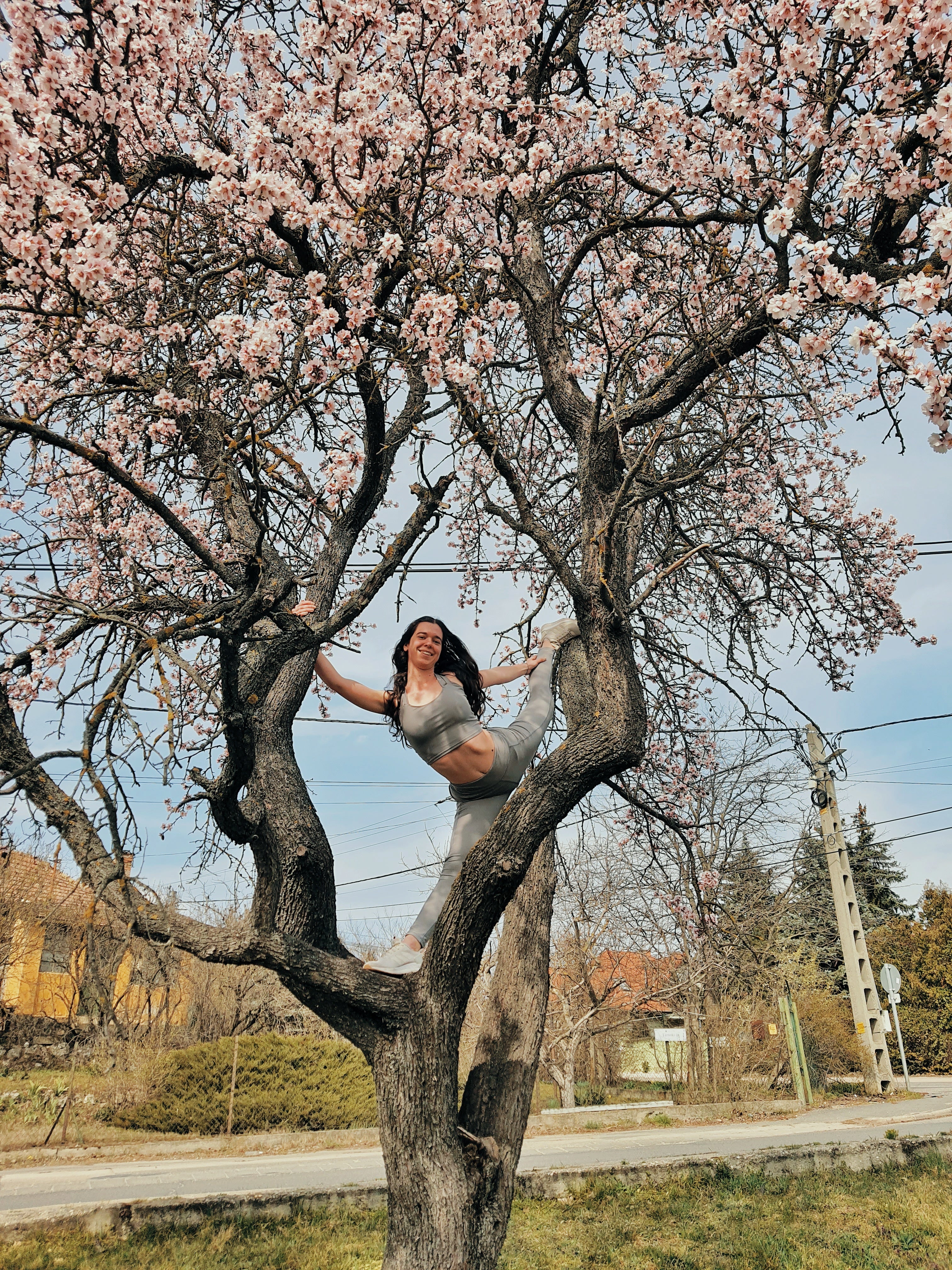 Wolf of the Month: Gabriella