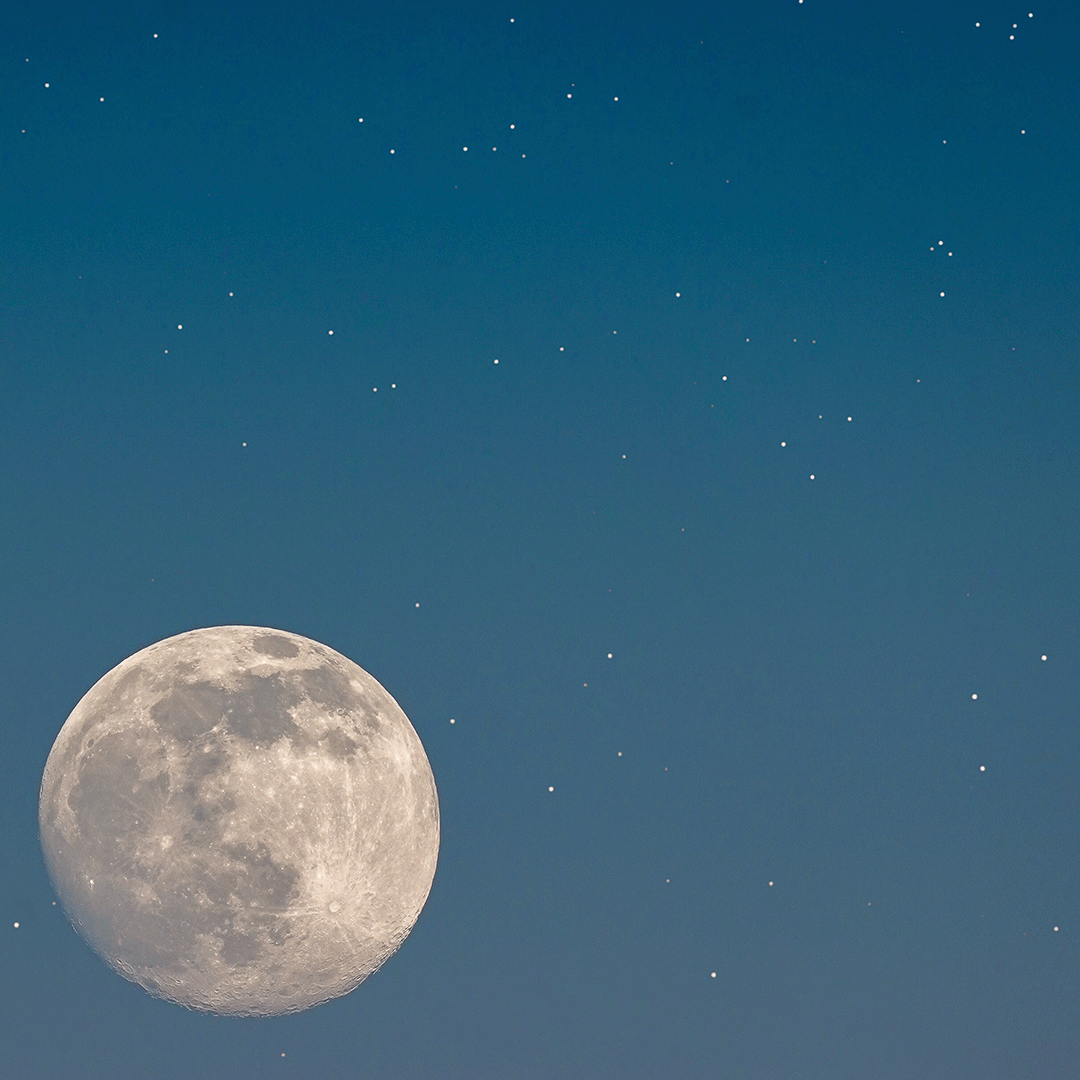 Full Wolf Moon: Ritual & Style Guide