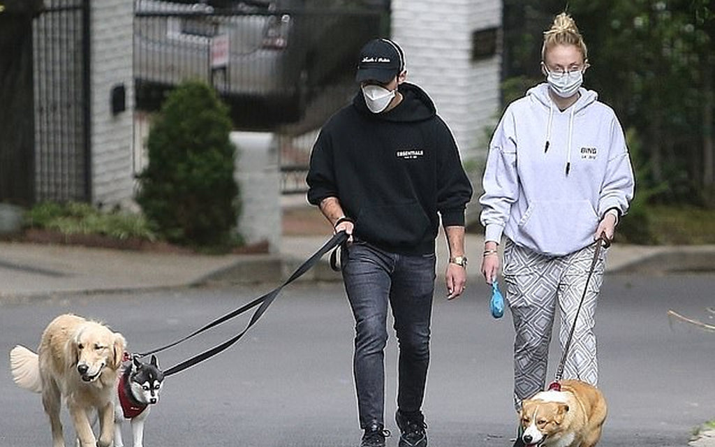 Joe Jonas and Pregnant Wife Sophie Turner Take Their Dogs For A Walk In Wolven and Face Masks