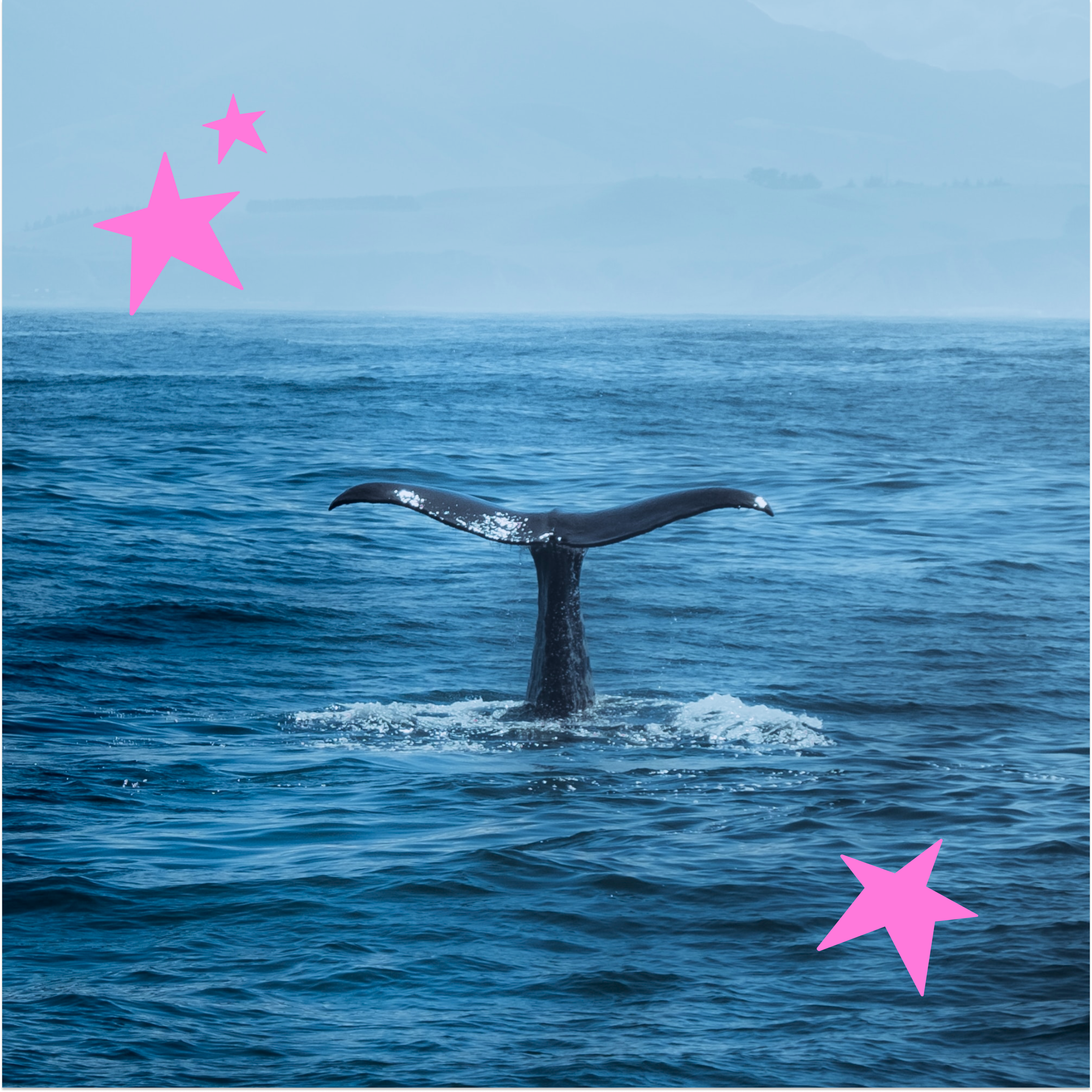 Make Waves Of Change With Us