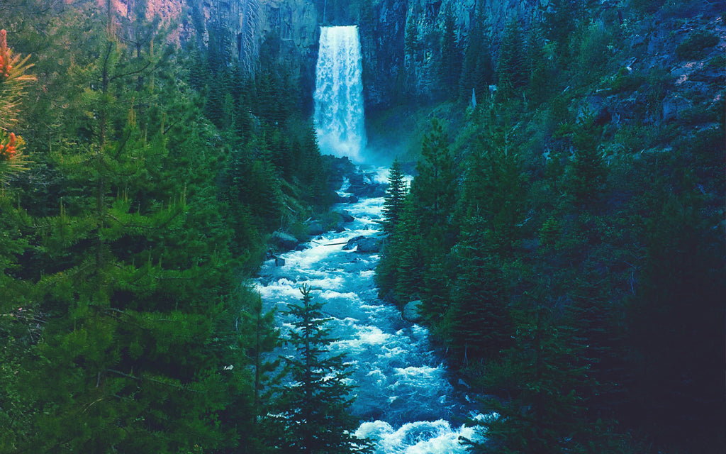 Taurus Time: Returning to Nature