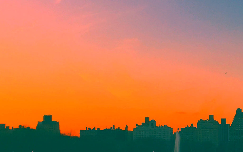 The Dream Journey: A Full Moon in Sagittarius