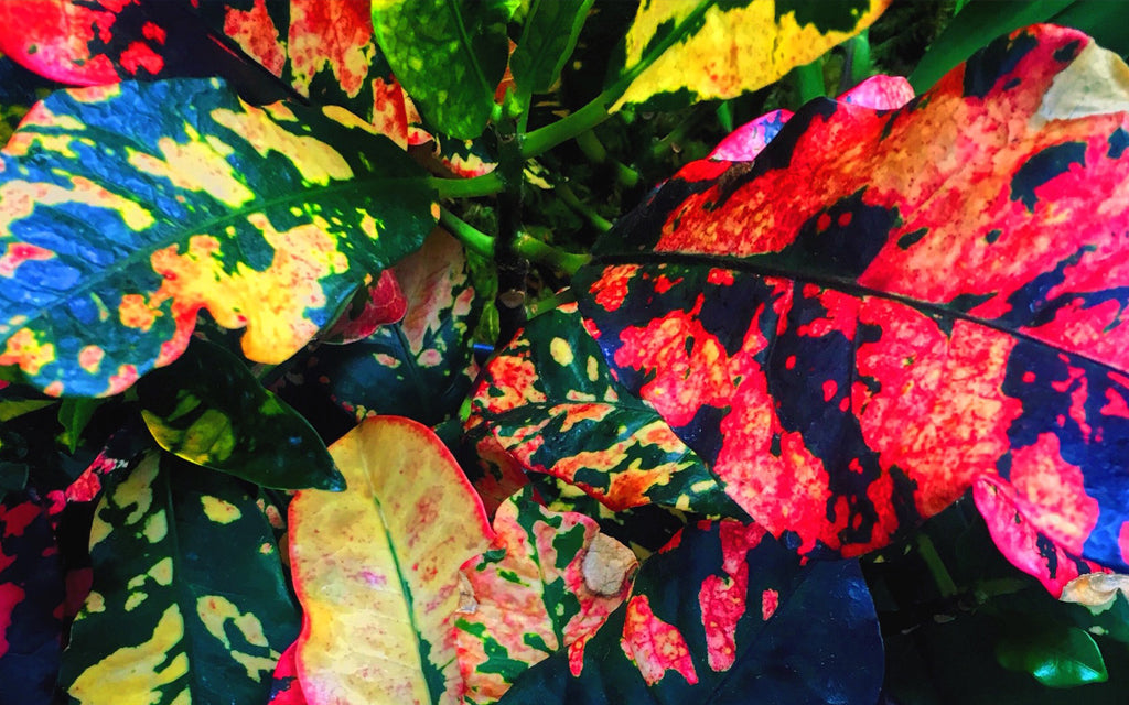 Libra Full Moon : One Of Us Cannot Be Wrong