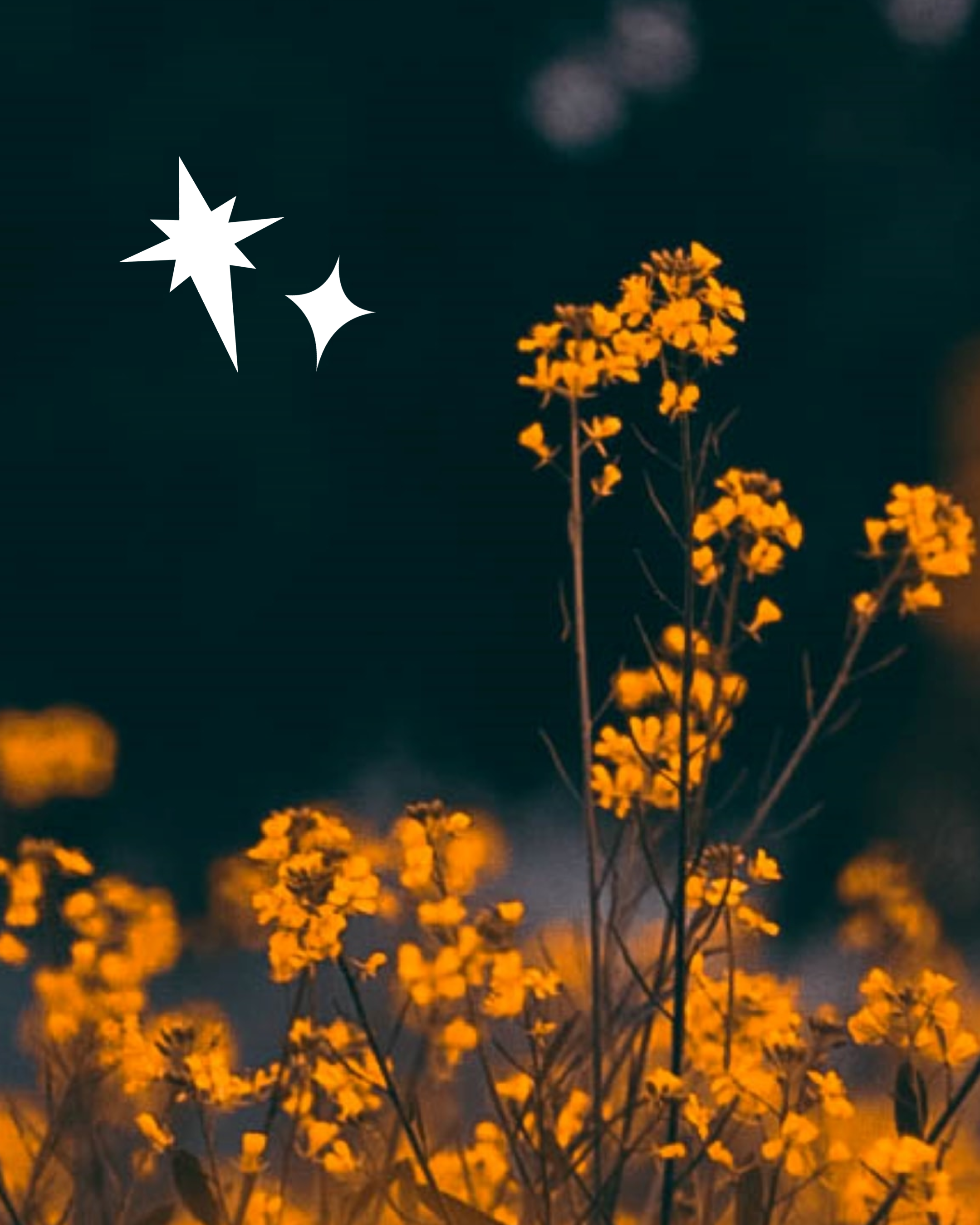 10 Black Female Environmentalists You Should Know