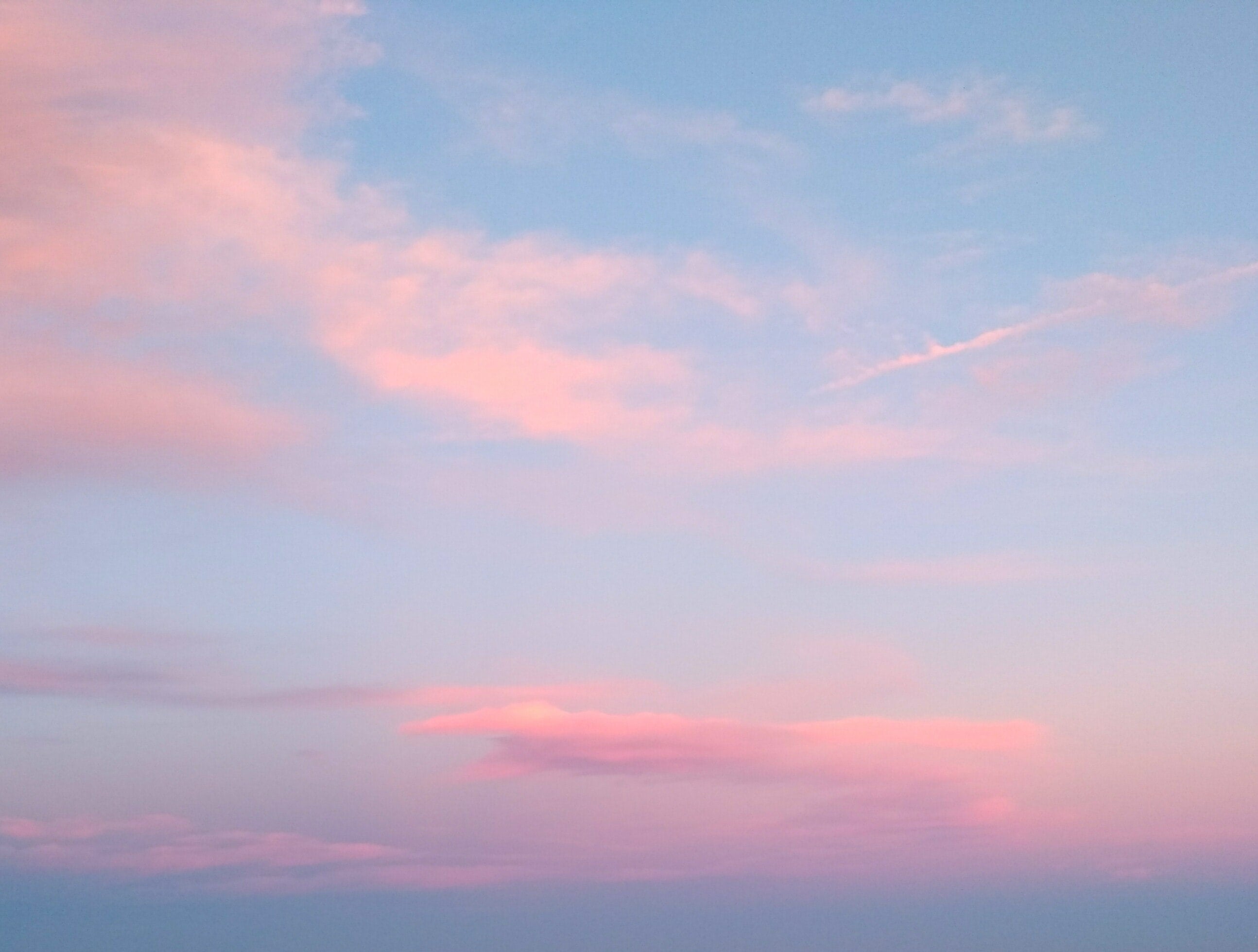 How To Love The Planet This VDay