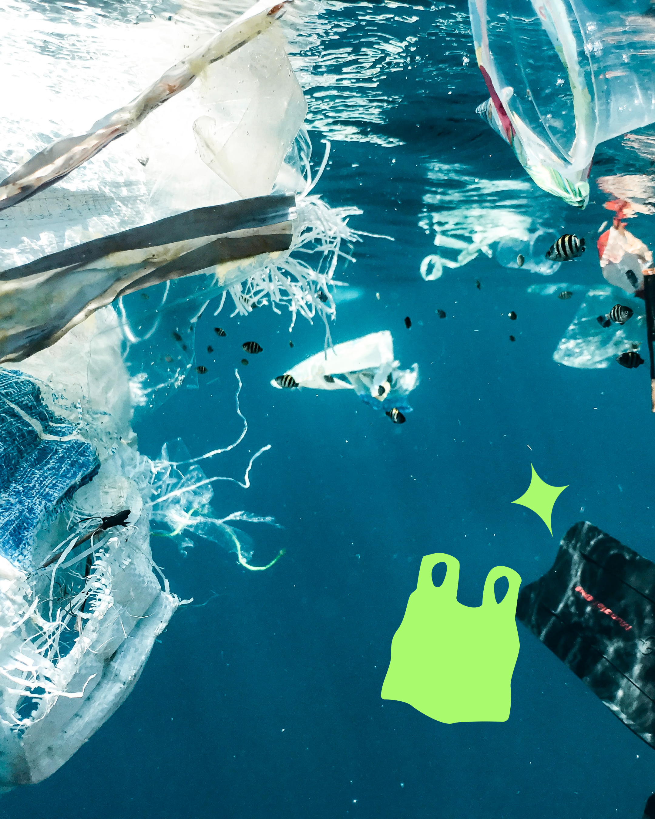 5 Myths About Recycling Plastics