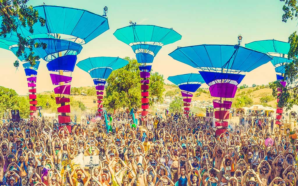 5 Ways LiB Leads the Way for Sustainability