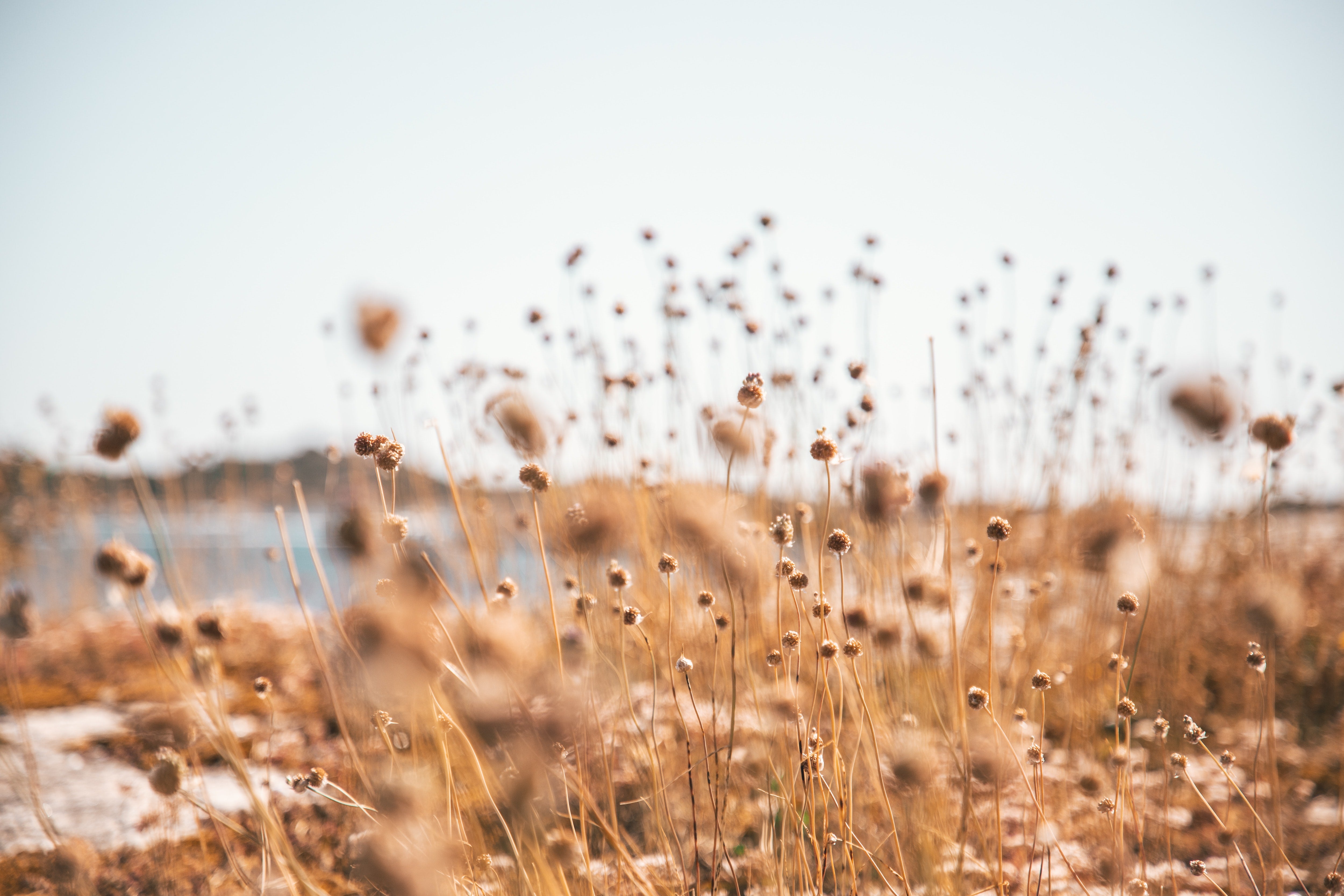 5 Habits To Bring Into The New Year