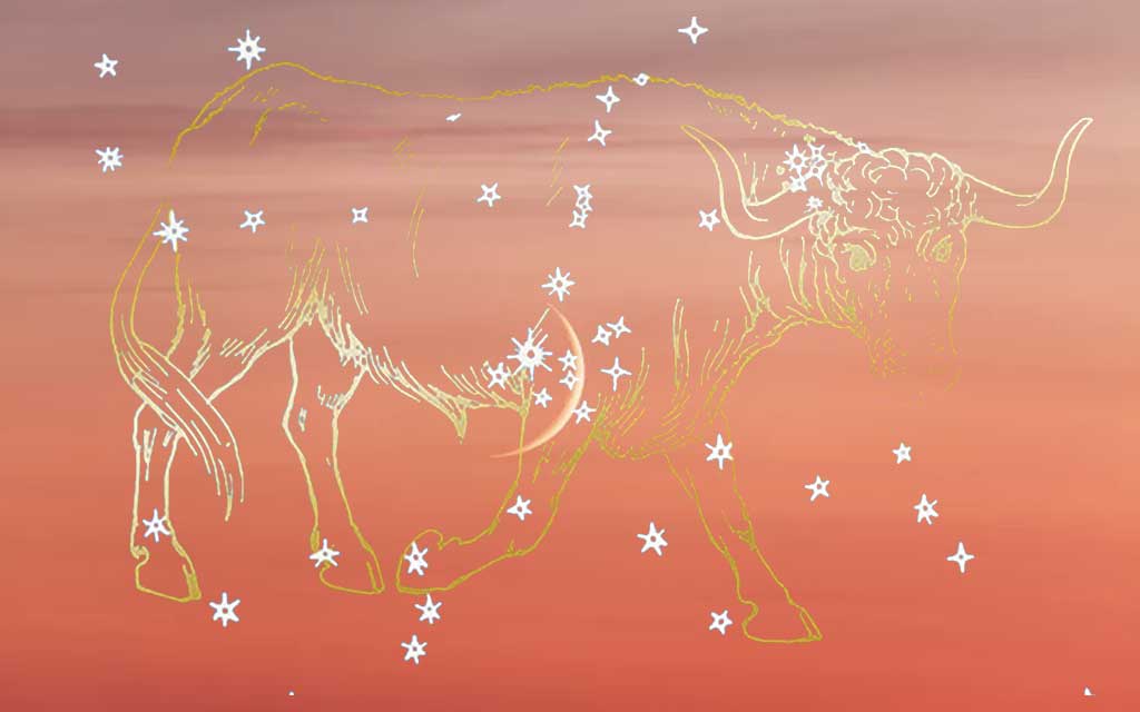 A New 7 Year Story : The New Moon in Taurus