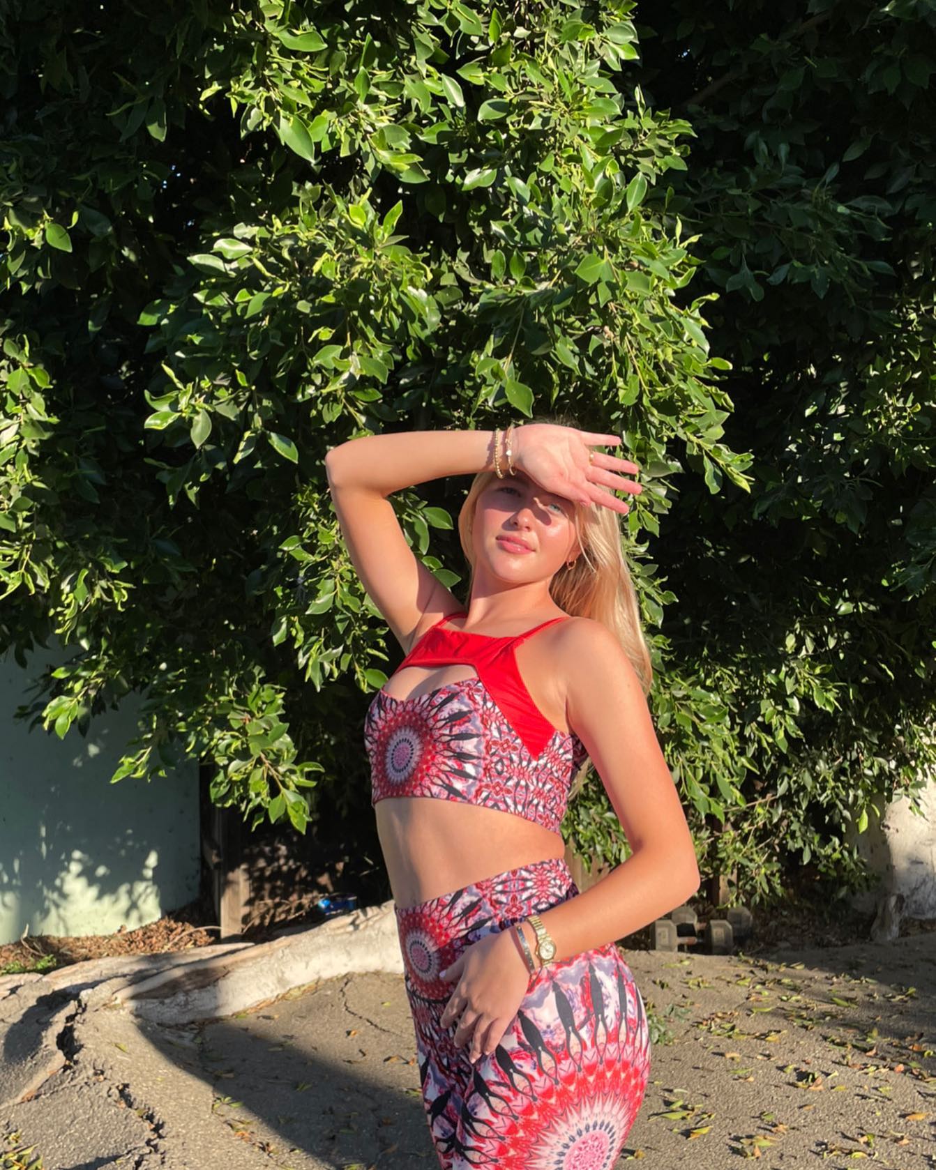 Wolfpack Style Guide: Aries Edition